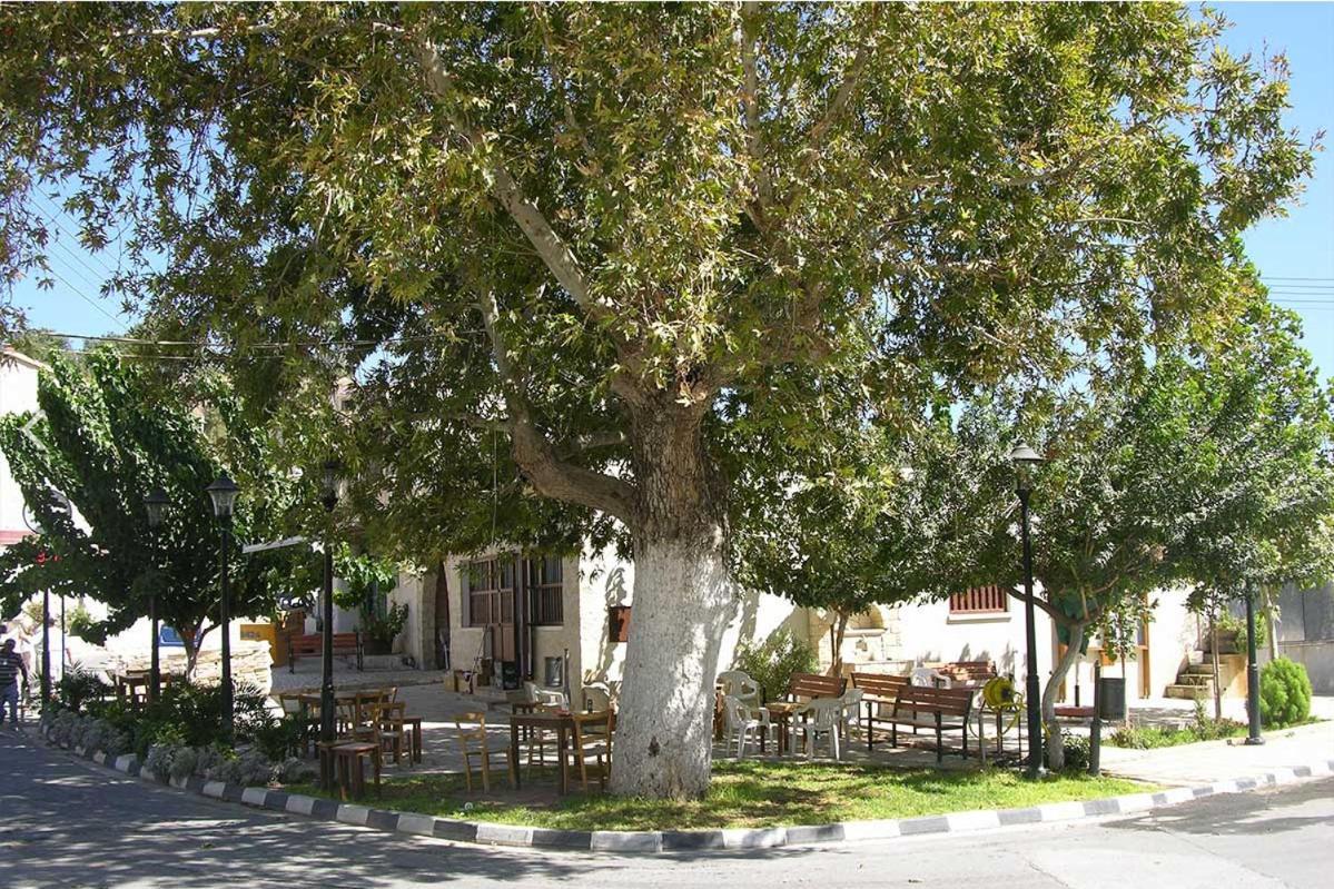 Avalon Village Houses Limassol Extérieur photo